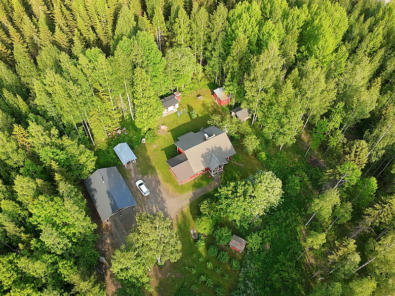 Tuholaistorjunta Joensuussa kotitalouksille